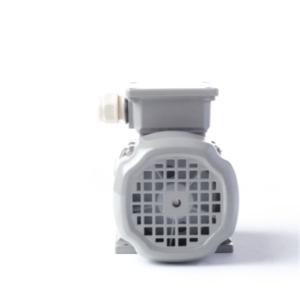 德國AC MOTOREN防火防爆電機E3-ASA 112 M 2