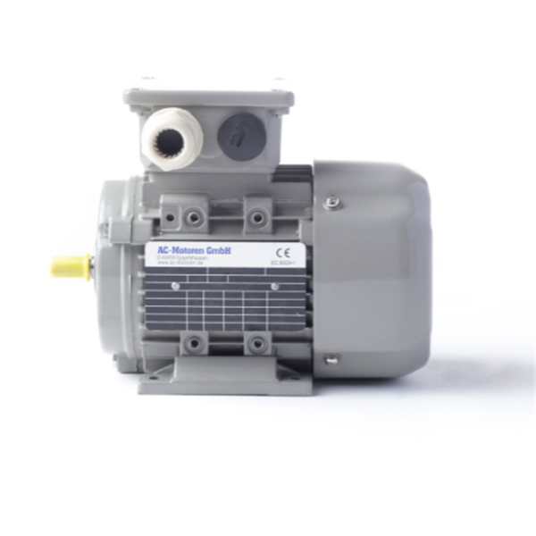 德國AC MOTOREN防火防爆電機E3-ASA 112 M 2