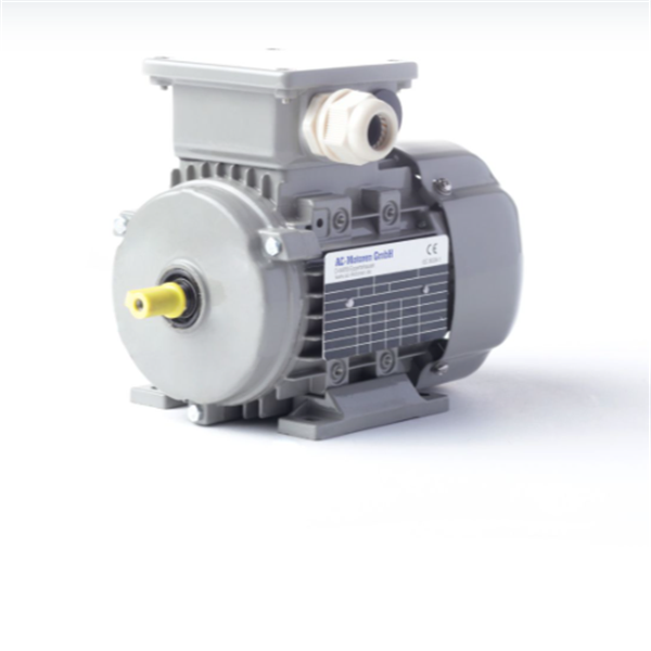德國AC MOTOREN防火防爆電機E3-ASA 112 M 2