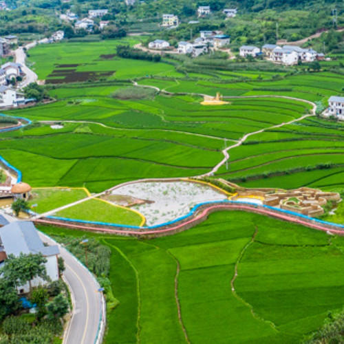 中農(nóng)發(fā)種業(yè)集團股份有限公司.jpg